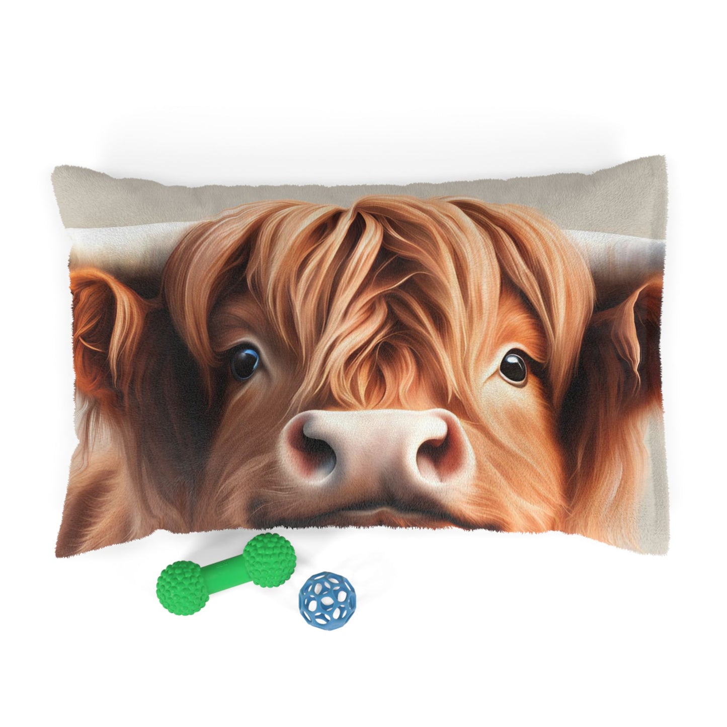 Highland Cow